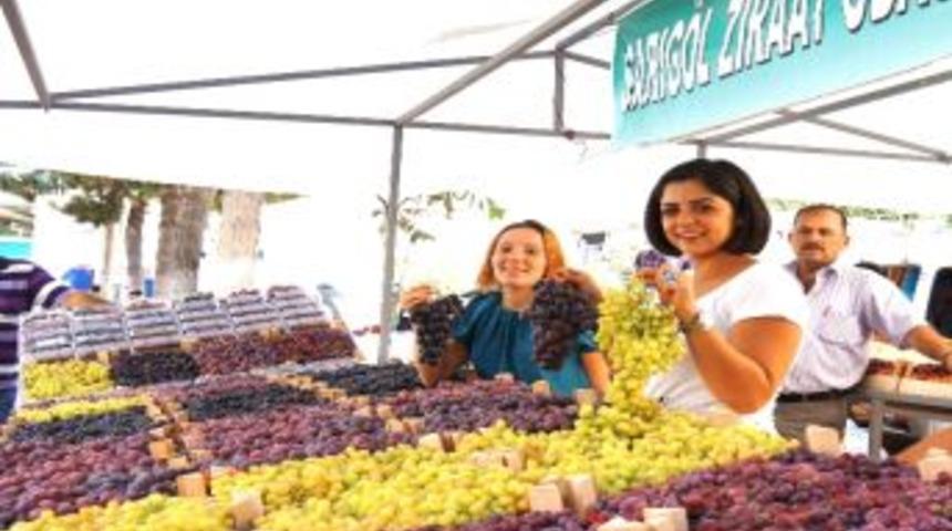 Sarıg&ouml;l 8. Sultaniye &Uuml;z&uuml;m Festivali Başladı