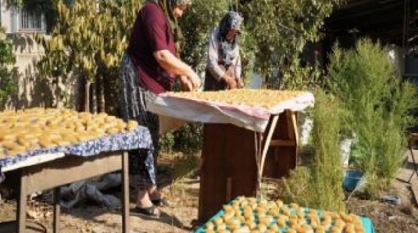 Sarıg&ouml;l&rsquo;de &Uuml;z&uuml;m K&ouml;ftesi Yapımına Başlandı