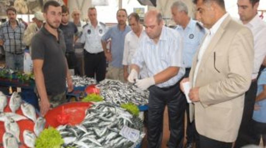 Zabıtadan Balık Denetimi