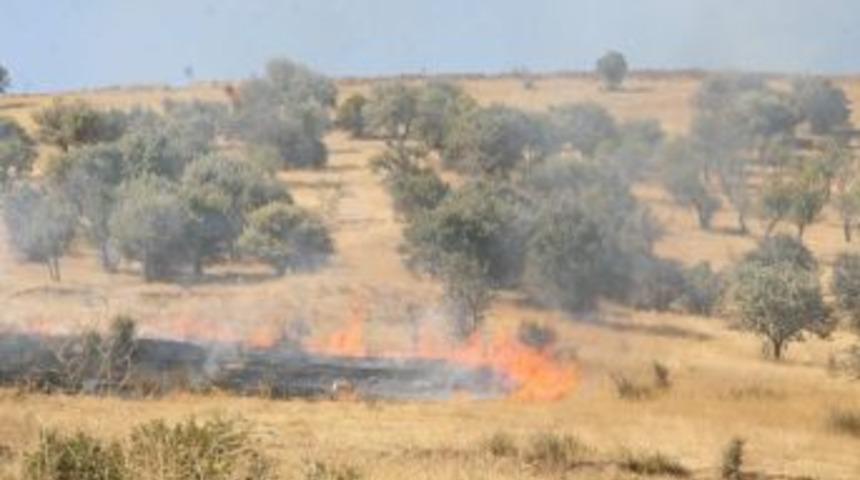 Yozgat Şahin Tepesinde 20 Dekar Ağa&ccedil;lık Alan Yandı