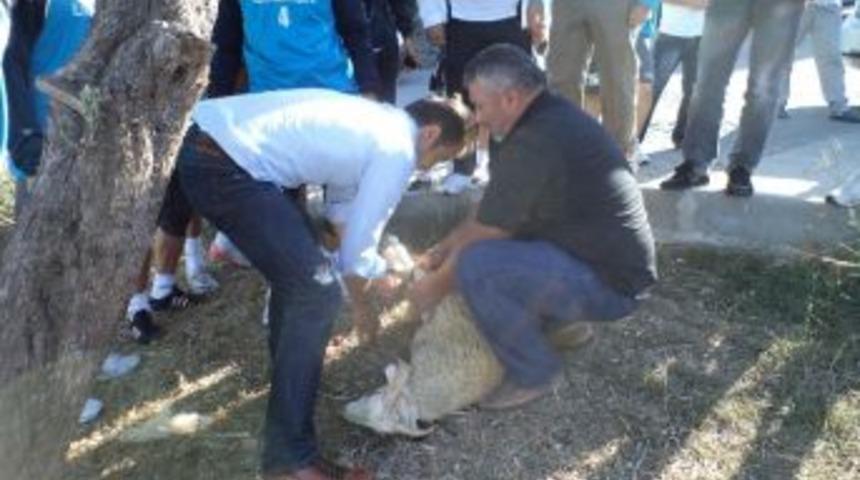 İzmit Belediyespor İddialı Hazırlanıyor