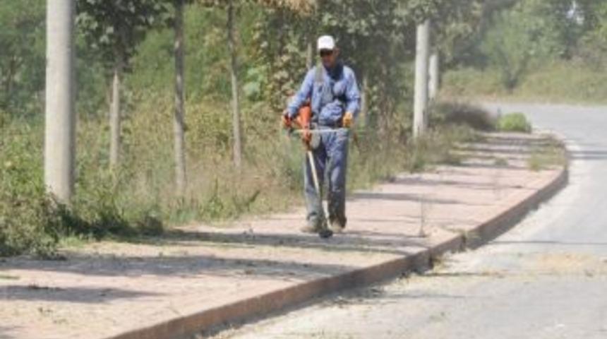 Başiskele&rsquo;de Yeşil Alanlara D&uuml;zenli Bakım Yapılıyor