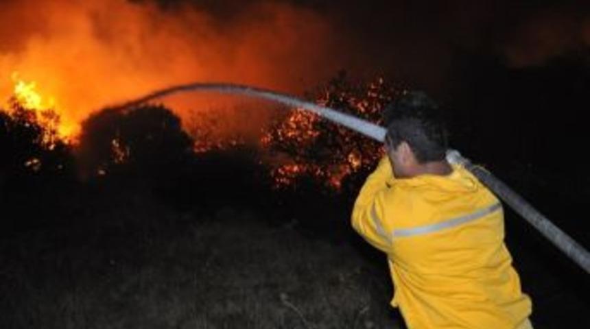 150 D&ouml;n&uuml;m Makilik Alan K&uuml;l Oldu