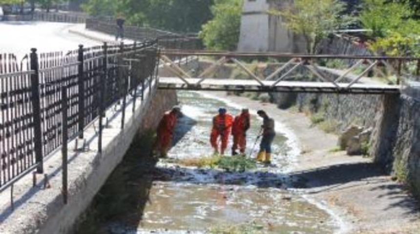 Mudurnu Deresi&rsquo;nde Temizlik Yapılıyor