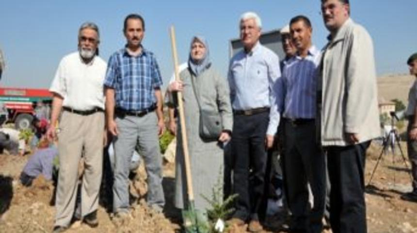 Karaman&rsquo;da Hacı Adayları Fidan Dikti