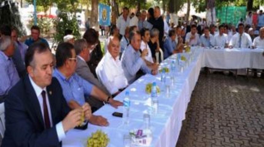 Sarıg&ouml;l&rsquo;de &Uuml;z&uuml;mler Yarıştı