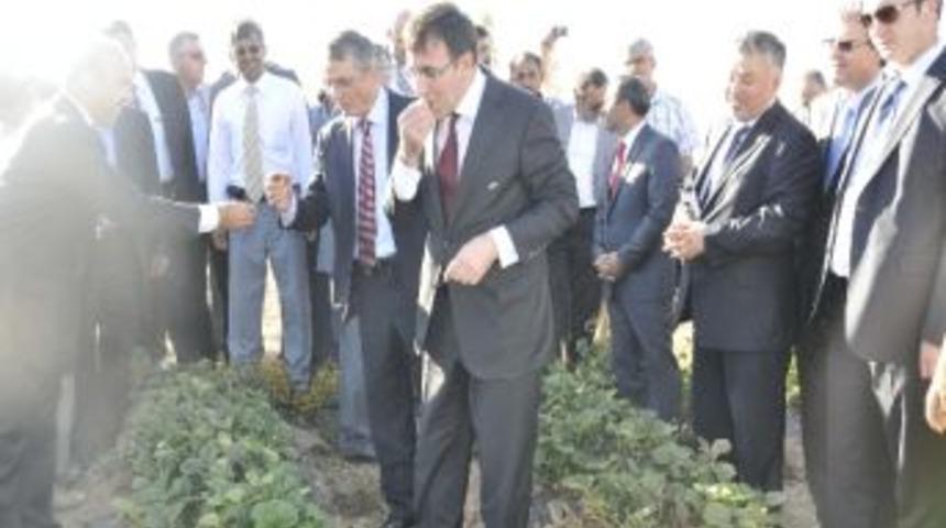 Bakan Cevdet Yılmaz'ın Konya Ziyareti