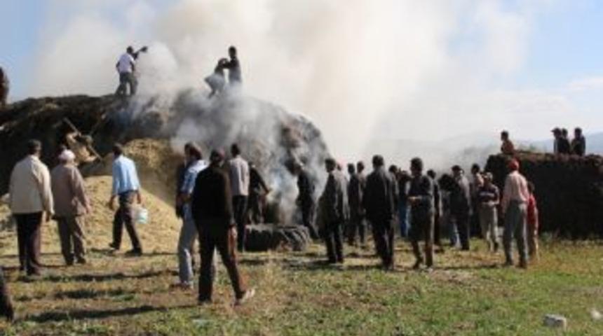 Bir İzmarit 50 Ton Ota Maloldu