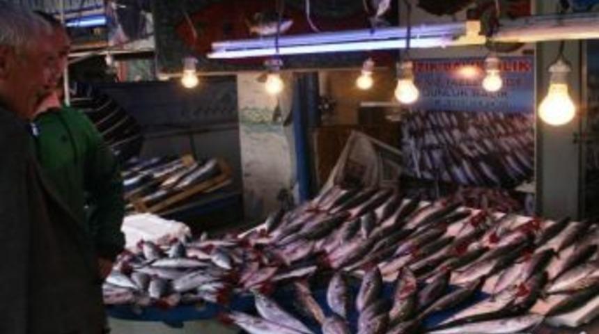 Karadeniz'de Palamut Bereketi