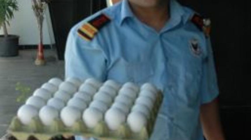 Yumurta Fiyatları El Yakıyor