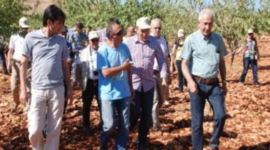 3. Ulusal Antep Fıstığı Ve Badem &Ccedil;alıştayı Sona Erdi