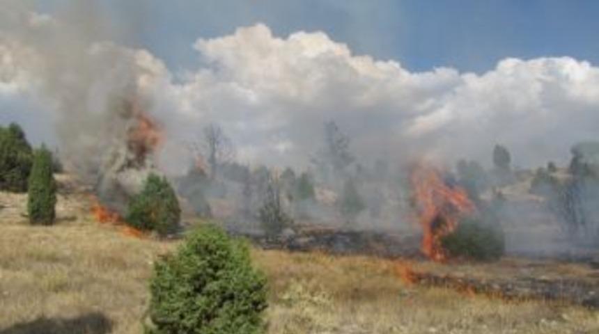 Hisarcık'ta Yangın