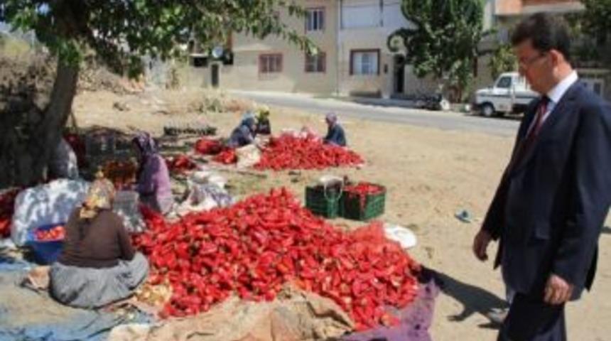 Nazilli&rsquo;nin Havası Bile İstihdam Sağlıyor