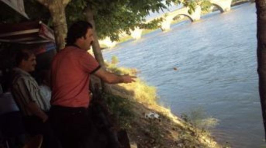 Kızılırmak&rsquo;ta Balıkların G&ouml;sterisi B&uuml;y&uuml;l&uuml;yor
