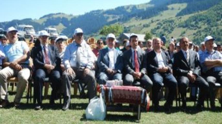 Ahi Lideri Şeyh Mustafa Giresun'da İlk Kez Anıldı