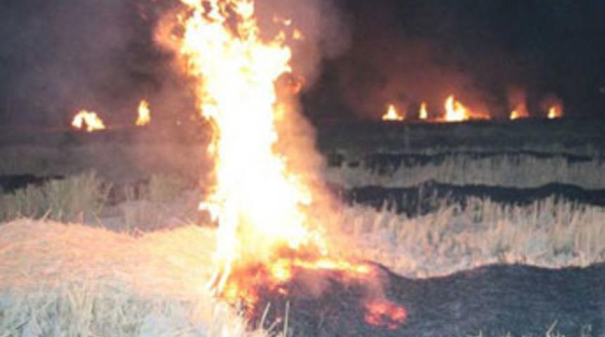 Doğalgaz hattında korkutan yangın