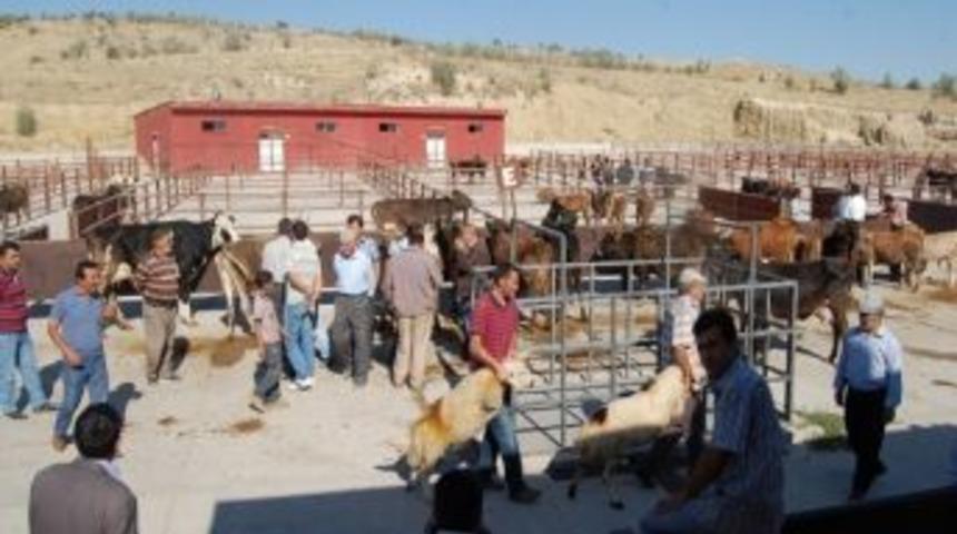 Nevşehir&rsquo;de Şap Hastalığı Nedeniyle Kapatılan Hayvan Pazarı Yeniden A&ccedil;ıldı