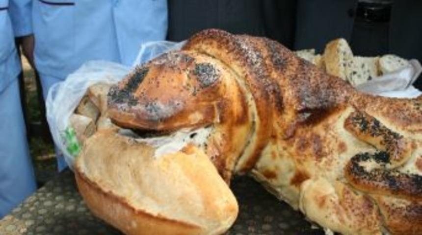 Ekmek Timsahın Ağzında!