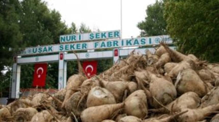 Uşak&rsquo;ta 87. Pancar Alım Kampanyası Başladı