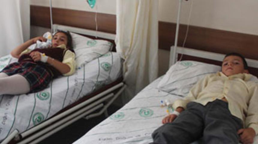 Arılar okulu bastı