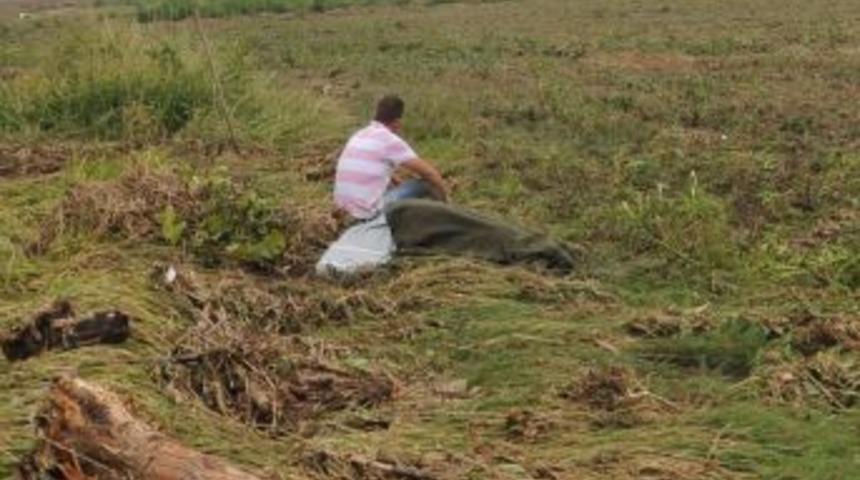 Biga'da Sele Kapılan Kadının Cesedi Tarlada Bulundu
