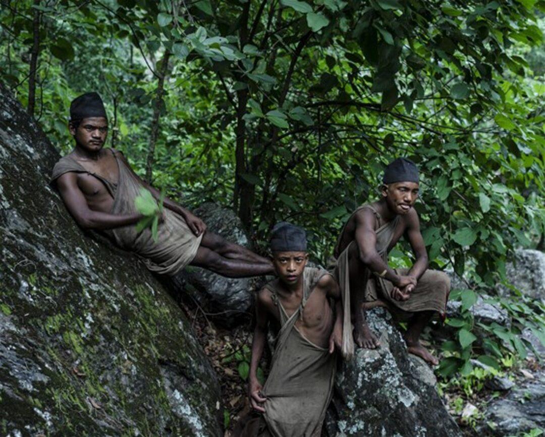 Джунглях живут люди. Племя Гималаи Гималаи племя. Современные племена. Племена Амазонии.