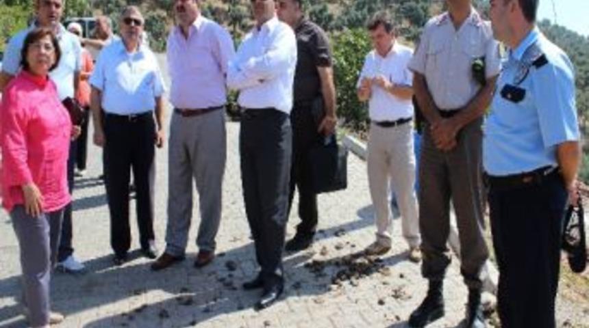 Ak Parti&rsquo;li &Ouml;y&uuml;ş Azaplılı İncir &Uuml;reticisinin Sorununa El Attı
