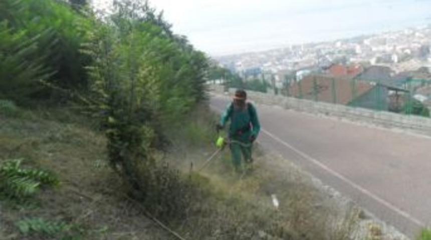 İzmit&rsquo;te Ağa&ccedil;lar Budanıyor