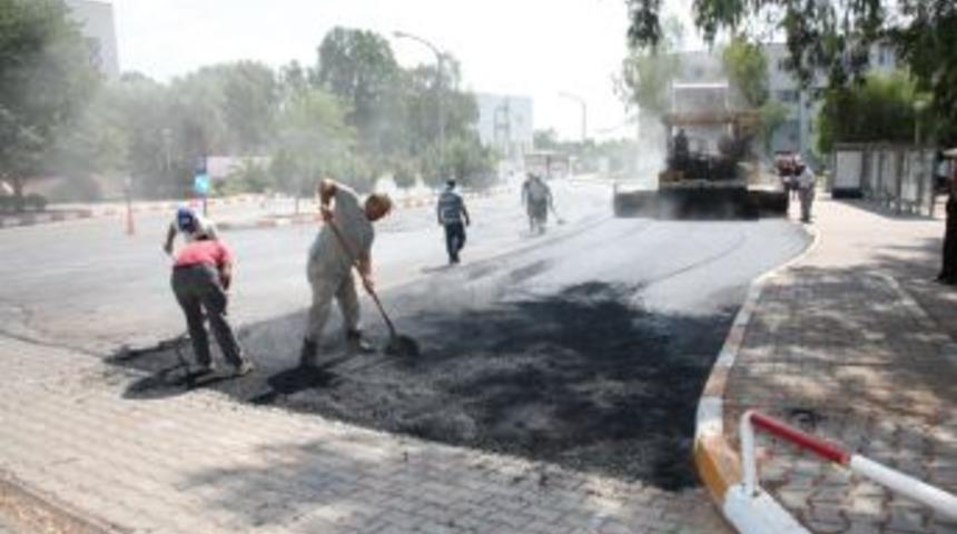 &Uuml;niversitenin yolları asfaltlanıyor