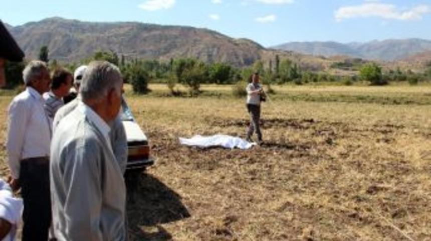 Tosunun Boynuz Darbeleriyle &Ouml;ld&uuml;