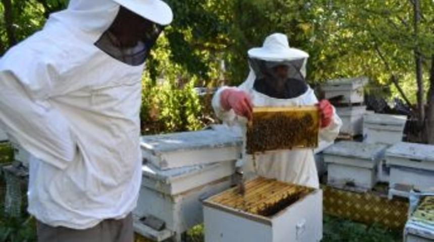 Şenkaya Balı Tescillendi