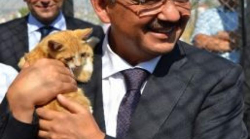 Kayseri B&uuml;y&uuml;kşehir Belediye Başkanı Mehmet &Ouml;zhaseki: