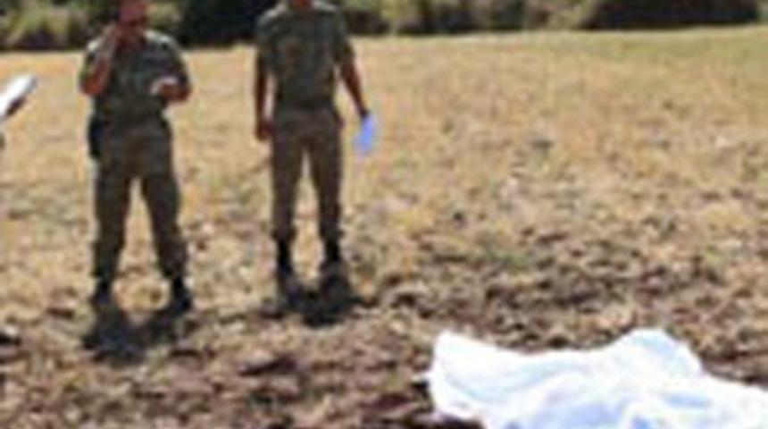 Kızgın boğa &ouml;ld&uuml;rd&uuml;