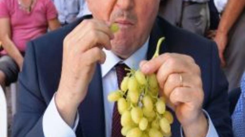 Mhp’li Akçay, Üzüm Üreticilerinin Sözcüsü Oldu