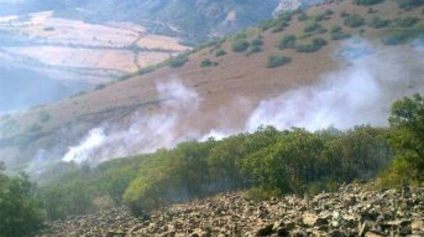 Sivas&rsquo;ta Orman Yangını