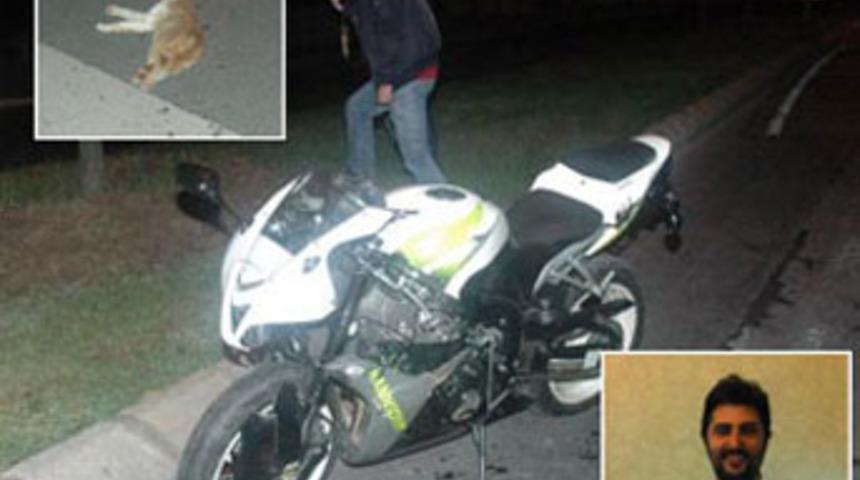 &Ouml;l&uuml; kedi &ouml;l&uuml;m getirdi