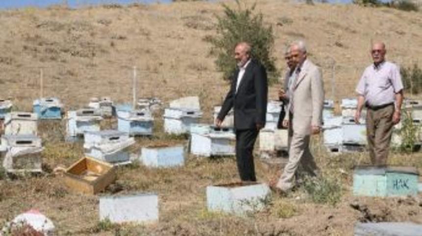 Yozgat&rsquo;ta Bal &Uuml;retim B&ouml;lgesi Oluşturulacak