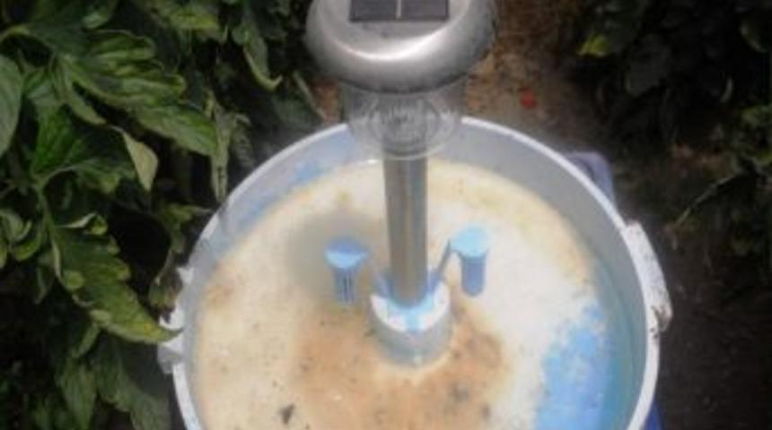 Dalaman&rsquo;da &Ouml;rt&uuml; Altı Ve Narenciye &Uuml;reticisine Destek.