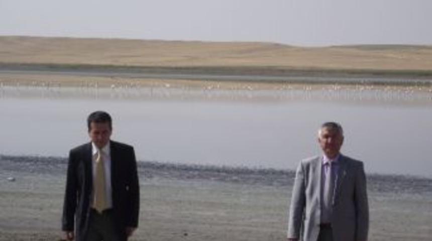 Flamingolar D&uuml;den G&ouml;l&uuml;&rsquo;ne Veda Ediyor