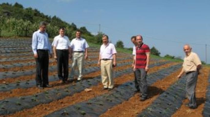 Trabzon Doğu Karadeniz B&ouml;lgesi&rsquo;nin &Ccedil;ilek &Uuml;retim Merkezi Haline Geliyor
