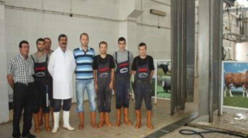 Keşan Mezbahası, Kurbana Hazır