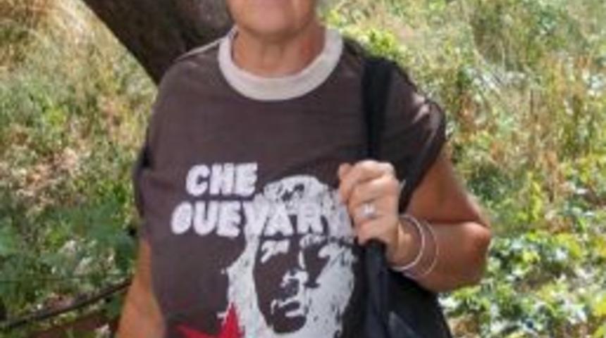 Barınağa Hayvanseverlerin Girişinin Yasaklandığı İddiası