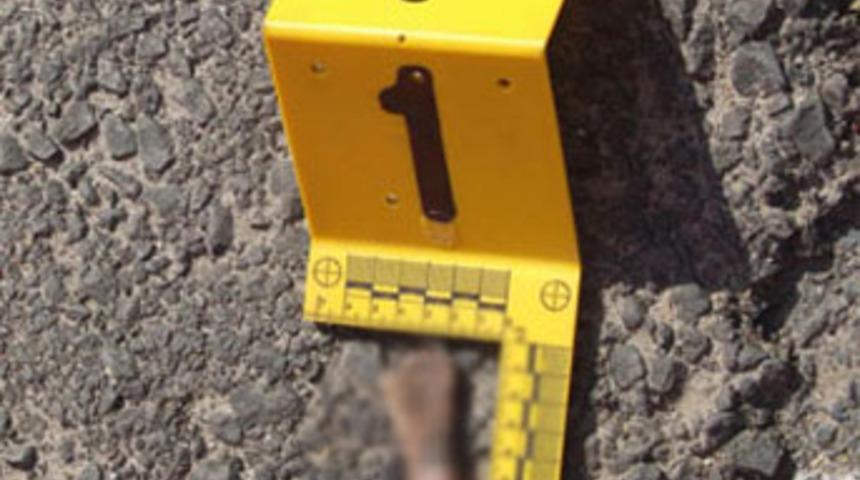 Kopan parmağını bırakıp ka&ccedil;tı