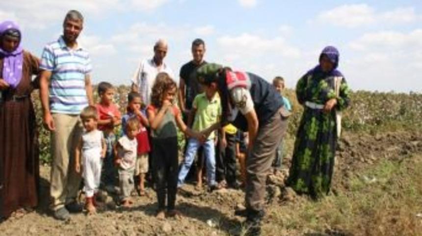 Jandarma Tarlada "okul &Ccedil;ocuğu" Arıyor