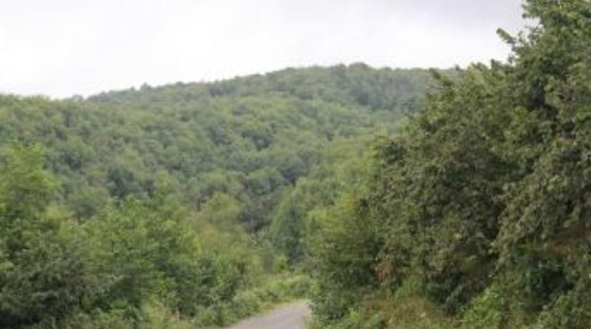 Giresun&rsquo;da &Ccedil;&ouml;p Depolama Arayışları S&uuml;r&uuml;yor