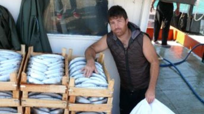 Karadeniz&rsquo;de Palamut Bolluğu