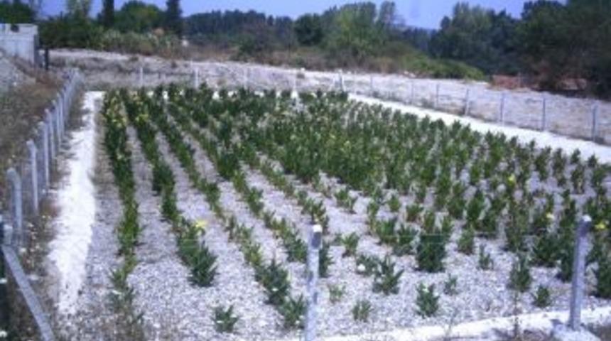 Bursa İl &Ouml;zel İdaresi&rsquo;nin Doğal Arıtma Projesi &Ouml;rnek Olarak Anlatılıyor