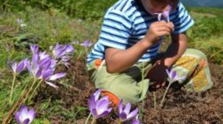 Karadeniz Yaylalarından G&ouml;&ccedil; Vakti