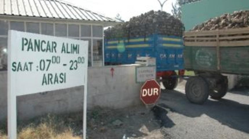 Şeker Fabrikasında Kuyruk &Ccedil;ilesi Sona Erdi