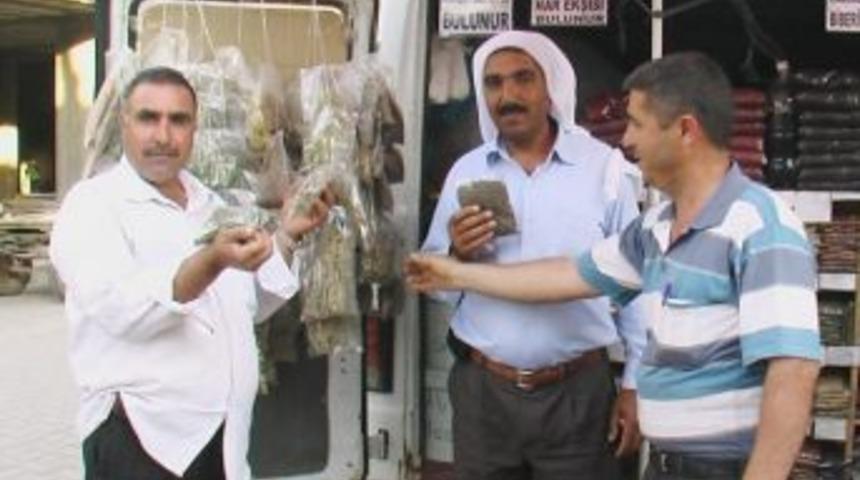 Şişmanlık Hastalığı